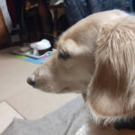 営業スタッフブログ