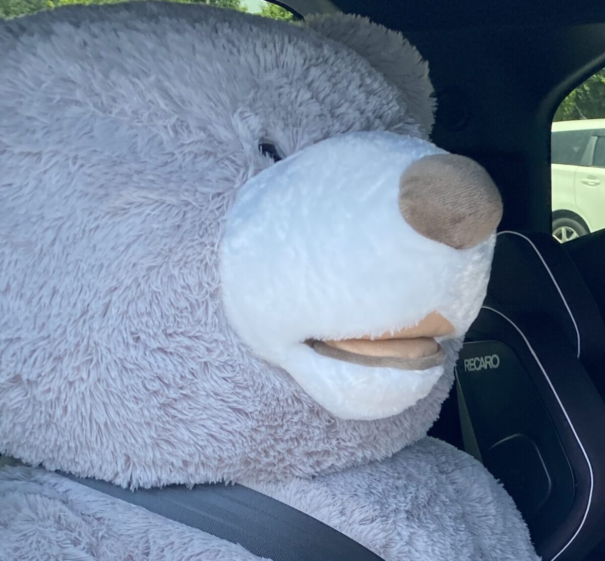 おにのくまさん